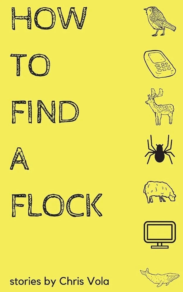 HOW TO FIND A FLOCK