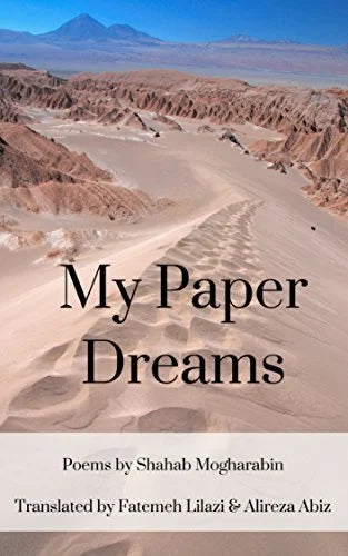 MY PAPER DREAMS