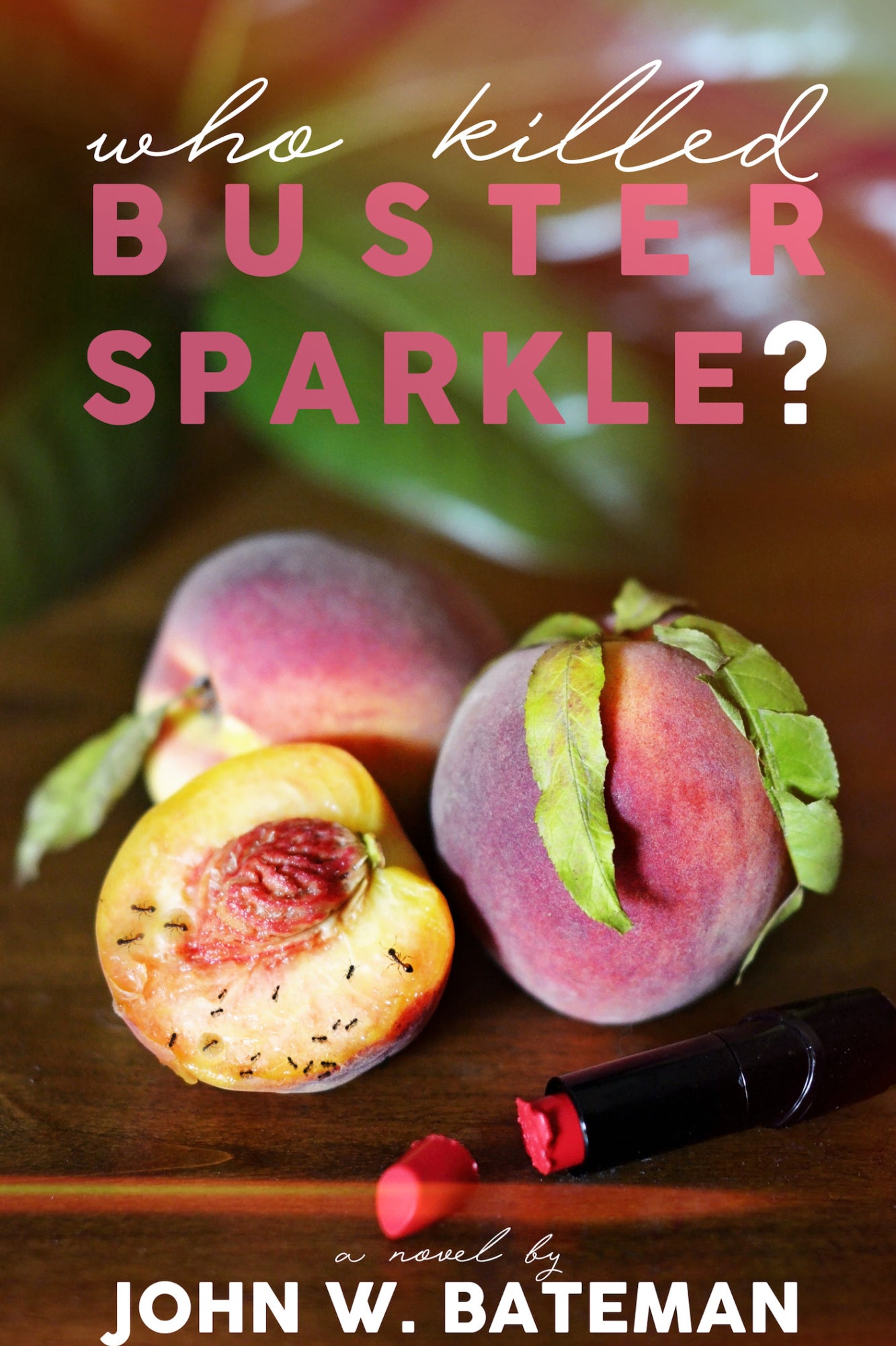 WHO KILLED BUSTER SPARKLE?