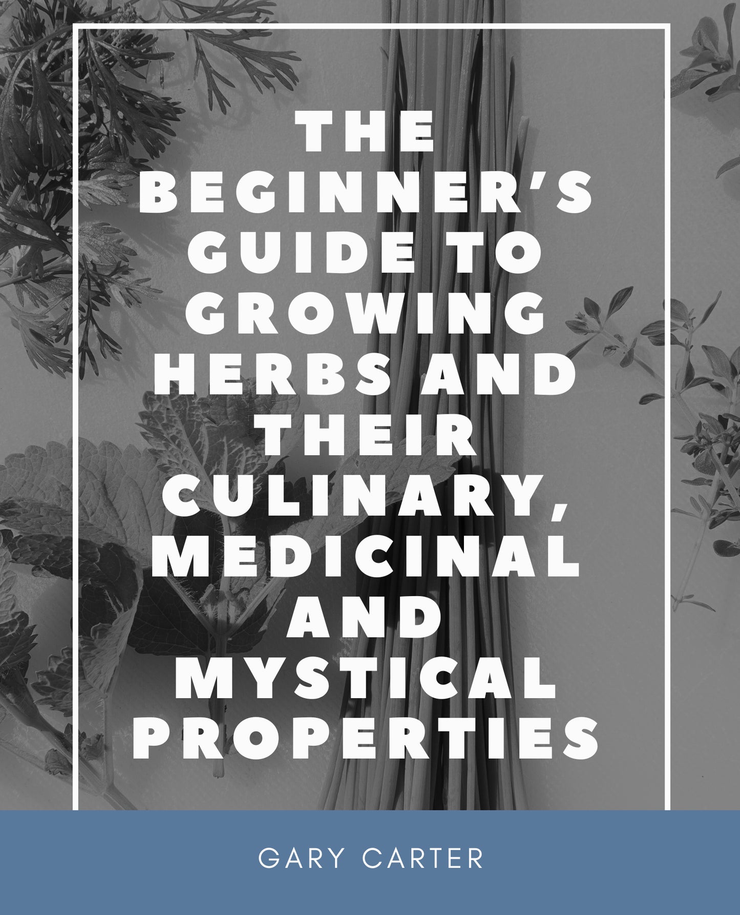 THE BEGINNER’S GUIDE TO GROWING HERBS AND THEIR CULINARY, MEDICINAL AND MYSTICAL PROPERTIES