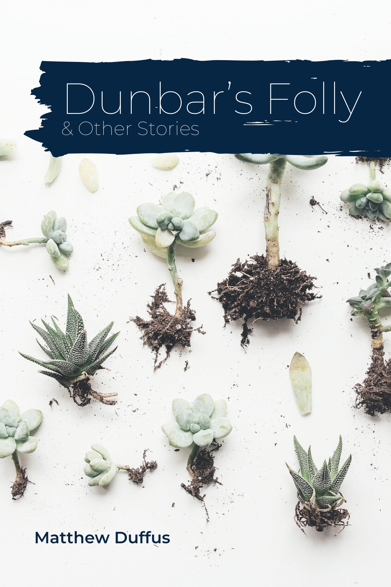 DUNBAR’S FOLLY AND OTHER STORIES