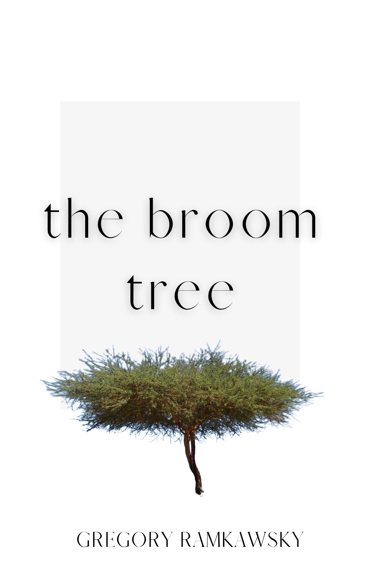 THE BROOM TREE