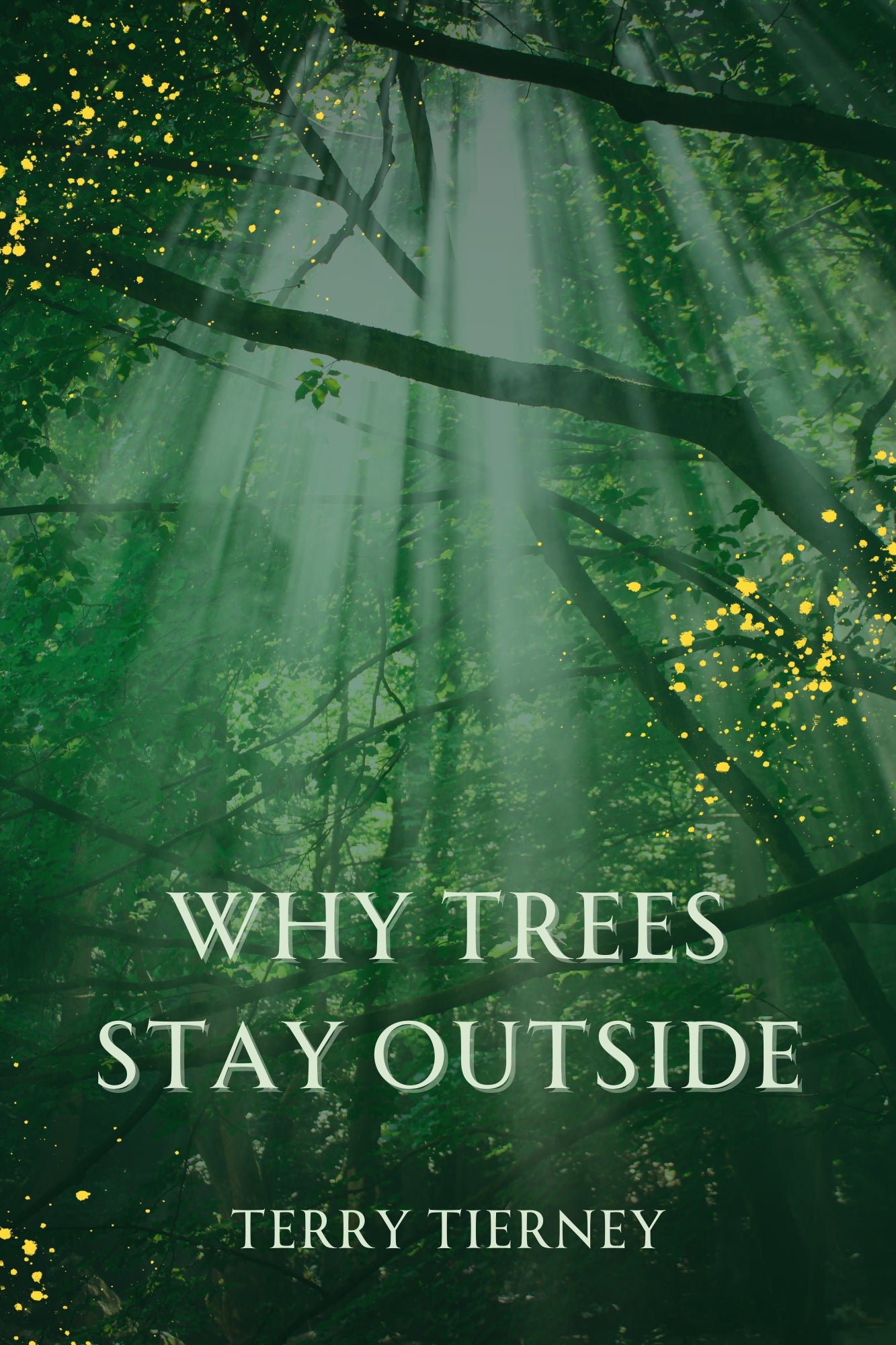 WHY TREES STAY OUTSIDE
