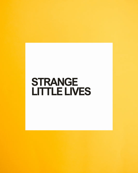 Curiosity No. 4 - Strange Little Lives