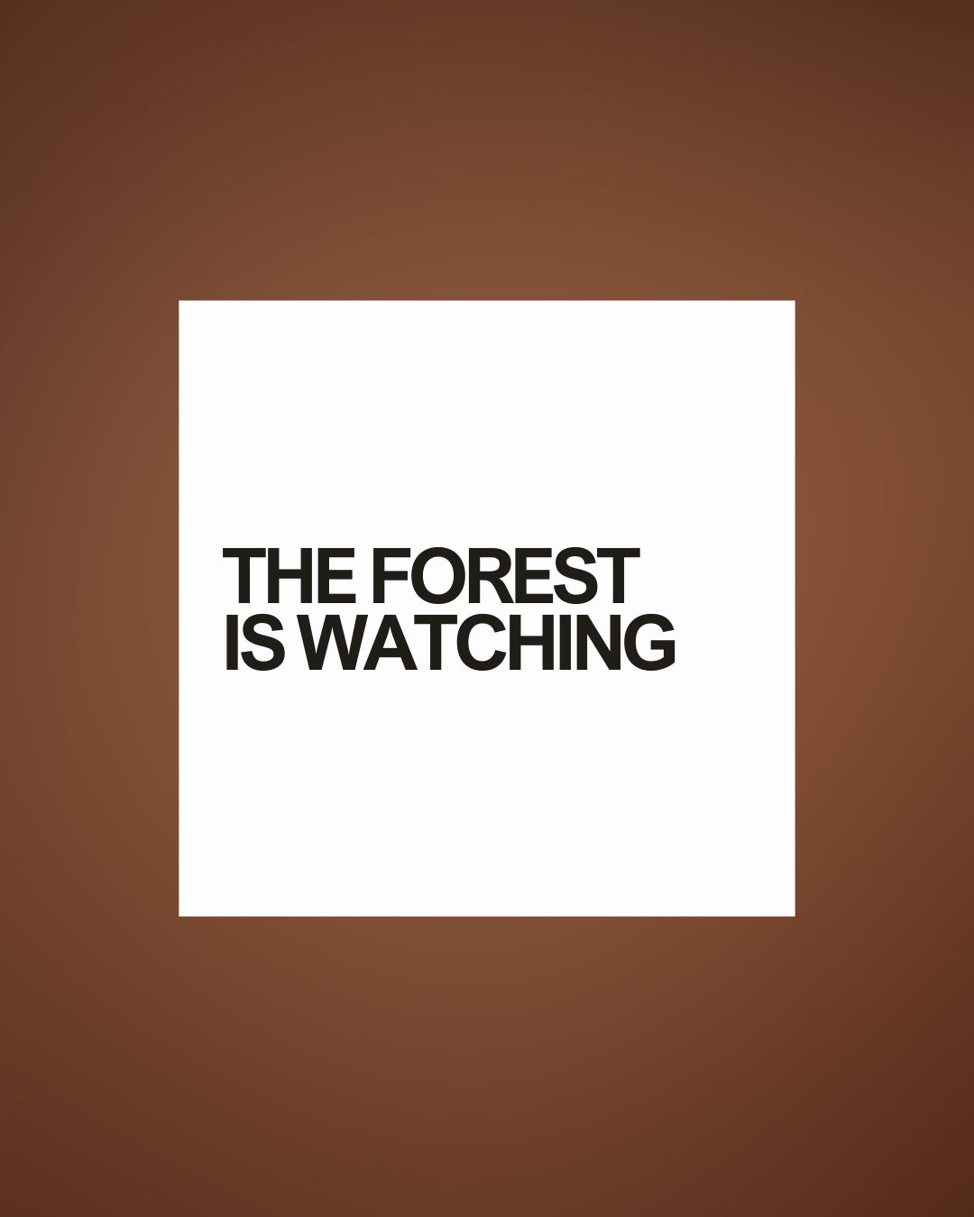 Curiosity No. 8 - The Forest Is Watching