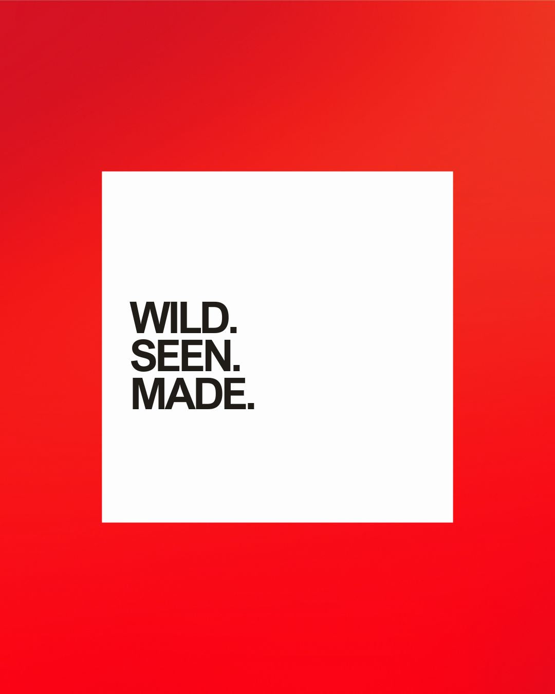 WHO MADE YOU COLLECTION