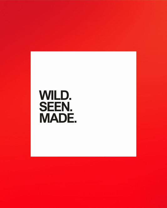 WHO MADE YOU COLLECTION