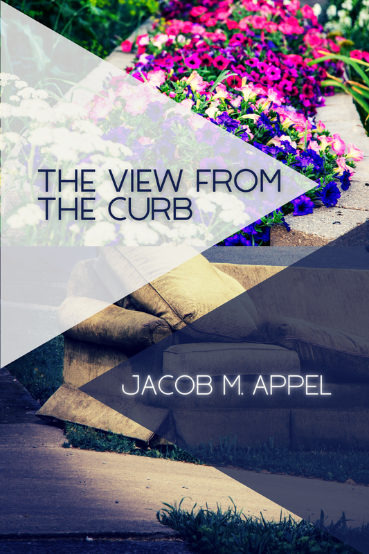 THE VIEW FROM THE CURB
