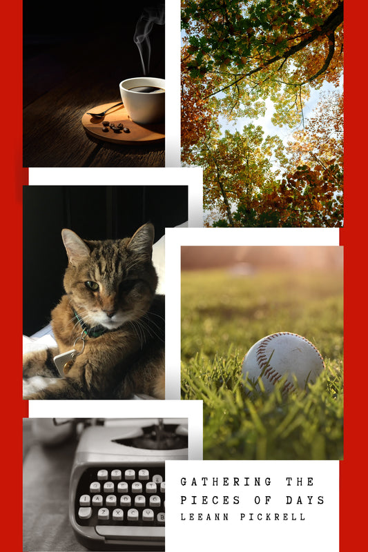 GATHERING THE PIECES OF DAYS