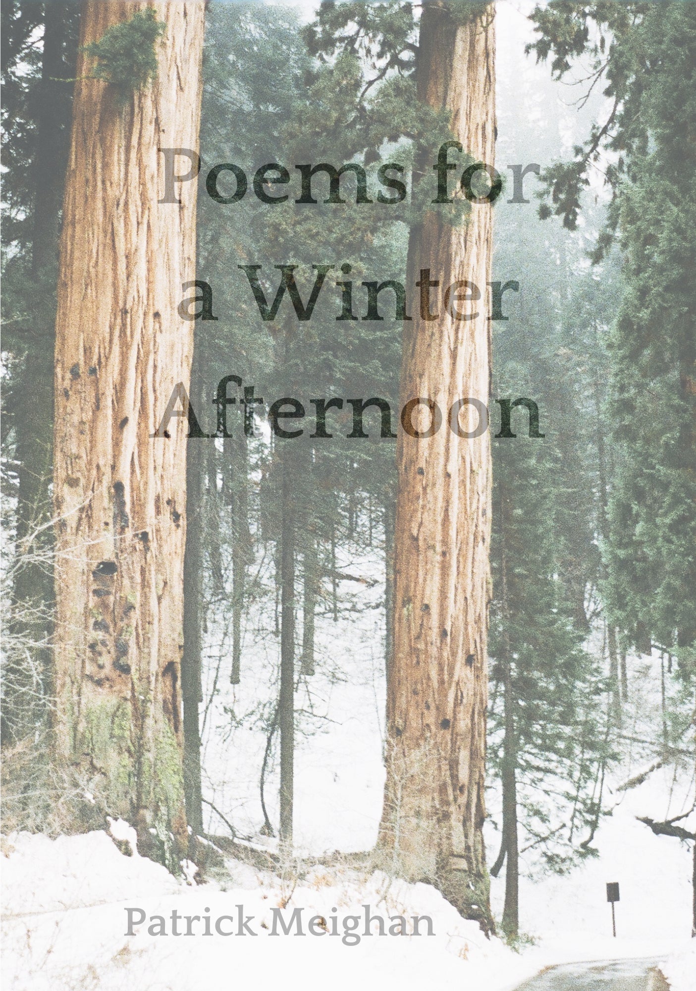 POEMS FOR A WINTER AFTERNOON