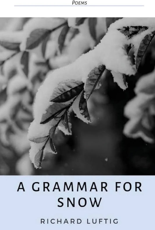 A GRAMMAR FOR SNOW