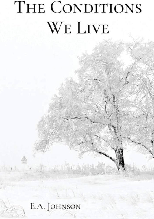 THE CONDITIONS WE LIVE