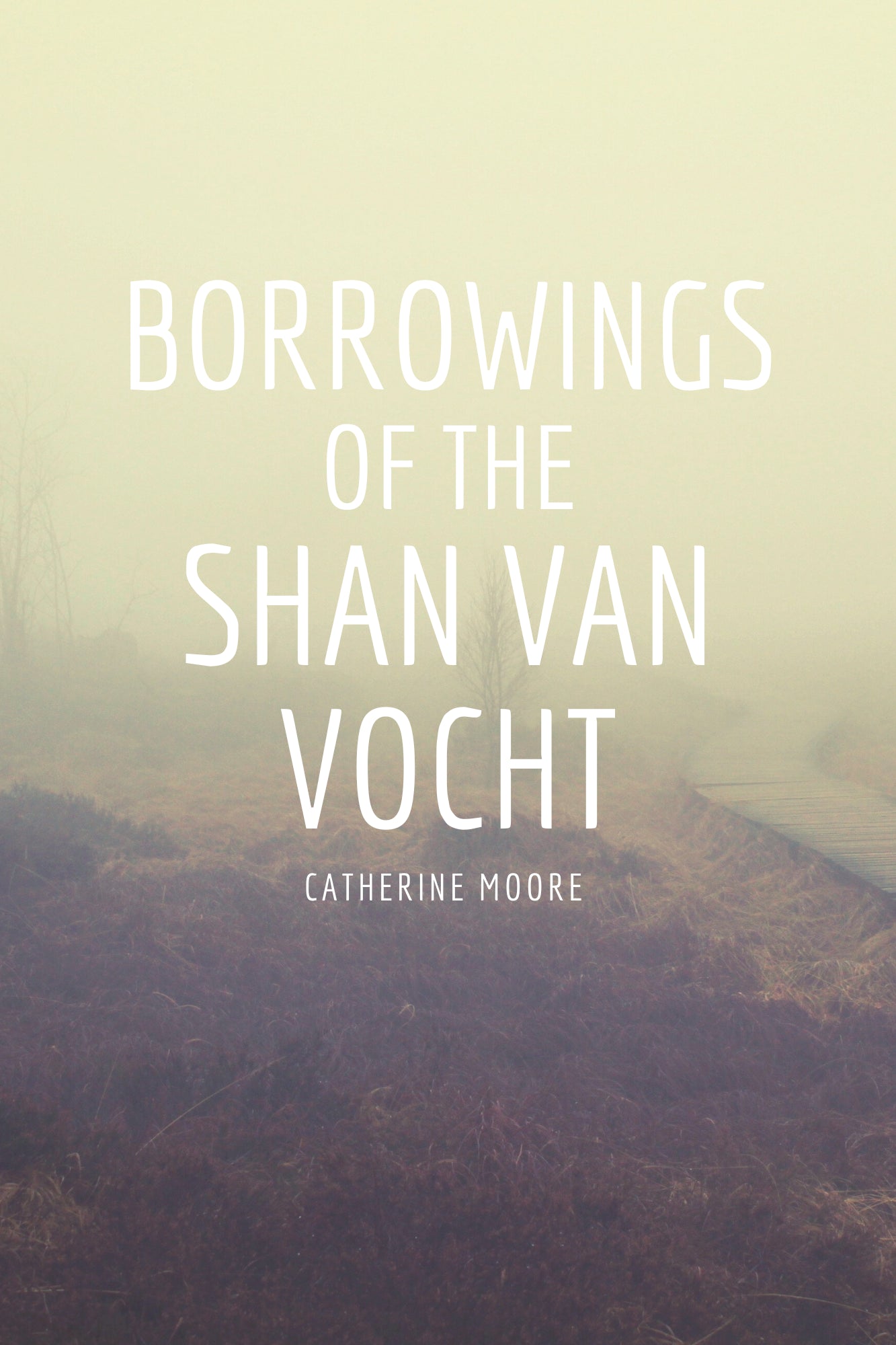 BORROWINGS OF THE SHAN VAN VOCHT