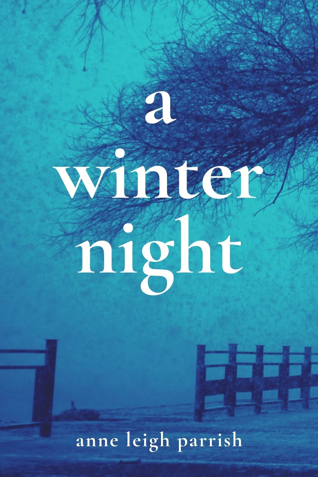 A WINTER NIGHT