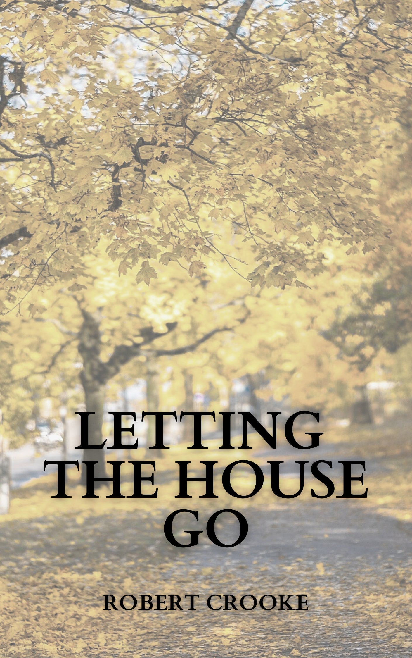 LETTING THE  HOUSE GO